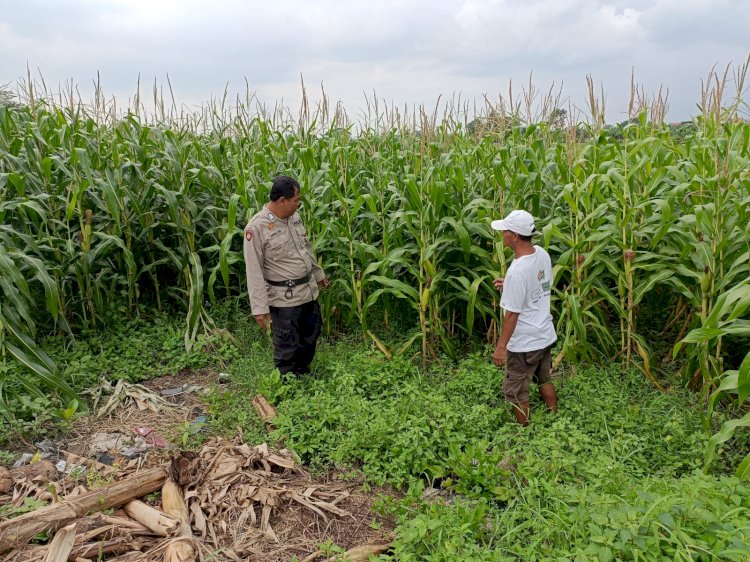 Bhabinkamtibmas Desa Putat Dorong Ketahanan Pangan Melalui Pekarangan Bergizi